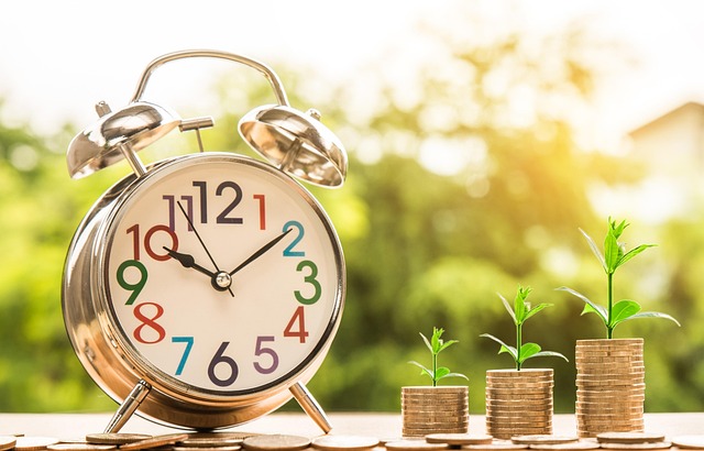 Financial management essentials for startups: a beginner’s guide
