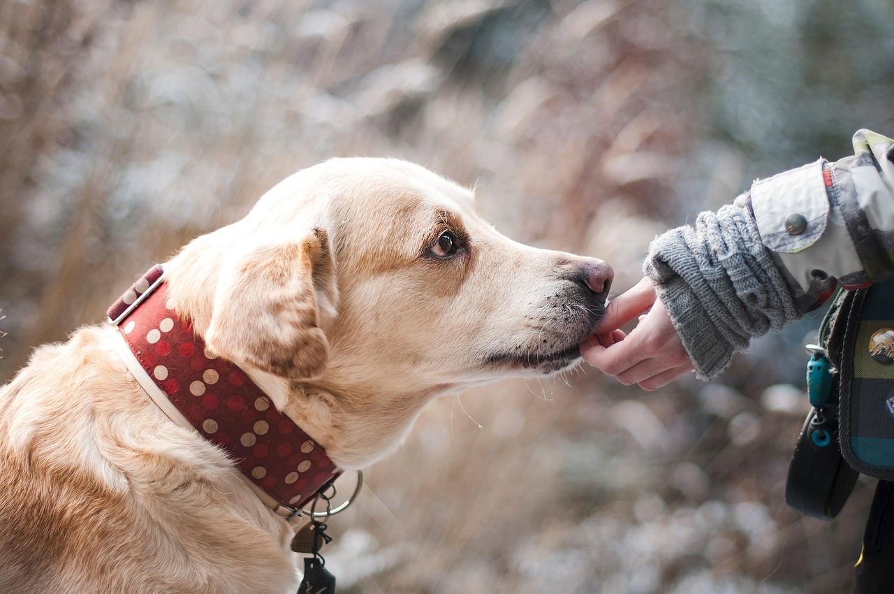 How Can You Build a Loyal Customer Base from Scratch?