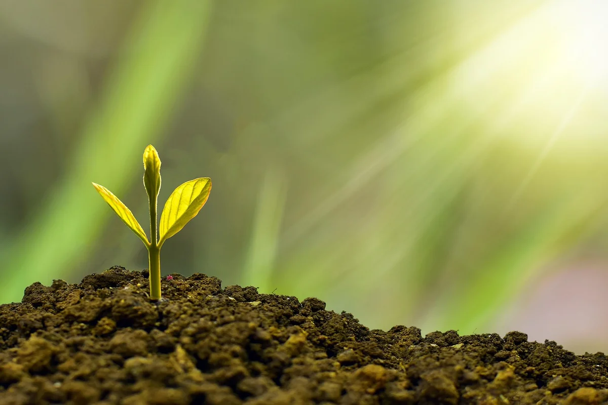 Why is sustainable marketing important?