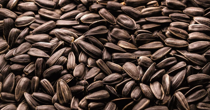 How to secure seed funding without giving away equity