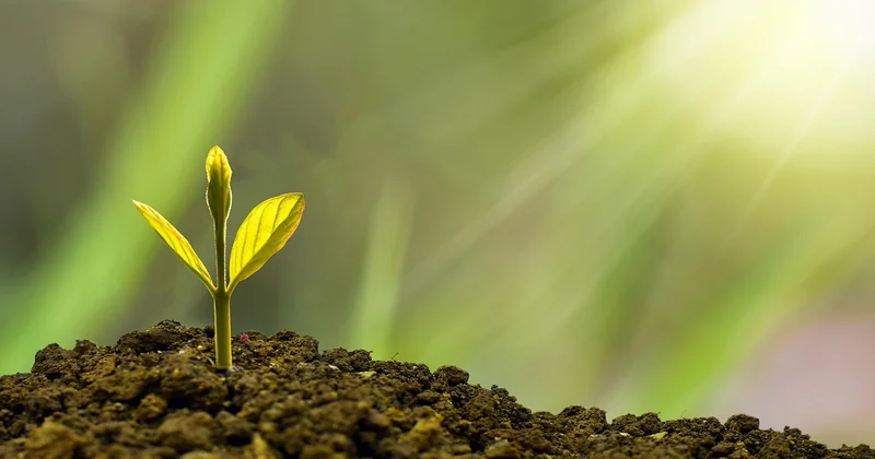 The metrics that survive scale